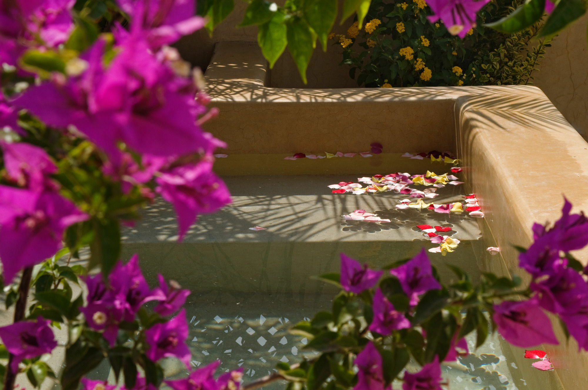 Riad Papillon By Marrakech Riad Marrakesh Exterior photo